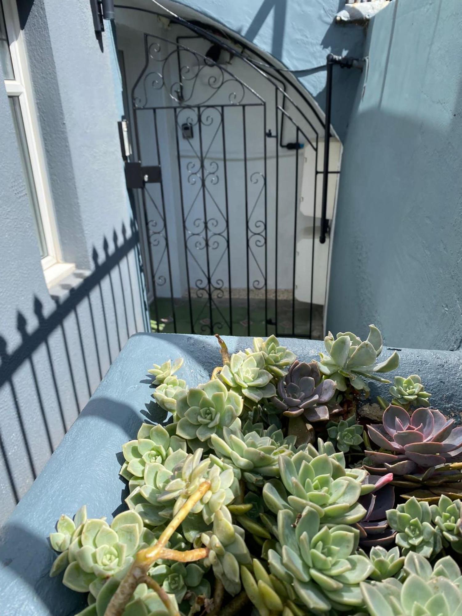 Kemptown Courtyard Apartment Brighton Ngoại thất bức ảnh